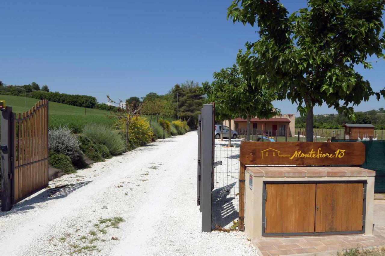 Casa Montefiore 13 Girasoli Lt Nella Tranquilla Campagna Marchigiana Ancona Exterior foto